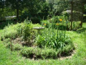 Herb Garden