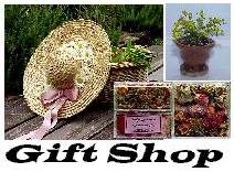 Gift Shop