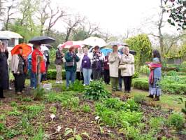 Rainy Tour
