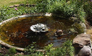 Solar Pond