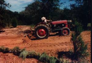 Bud and tractor