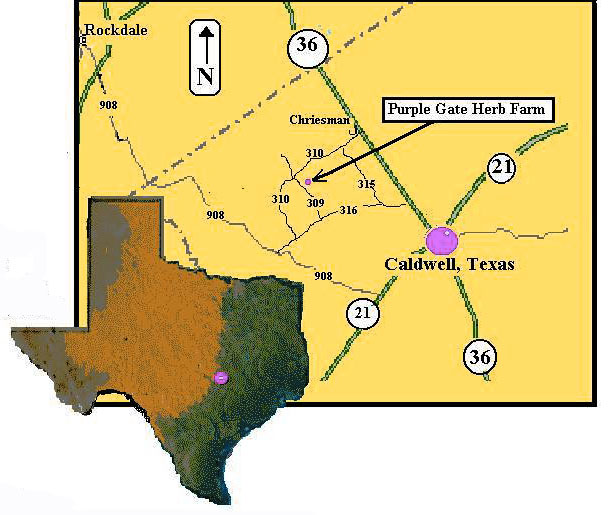 Map and directions