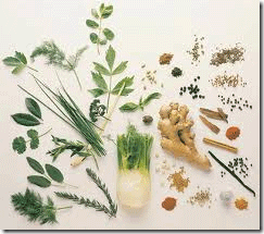 Herb Chart For Healing