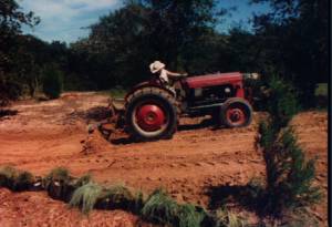 Bud preparing garden beds