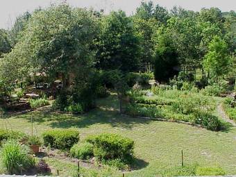 Garden overview