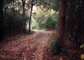 Entrance to the land.