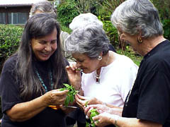 Herbs make scents